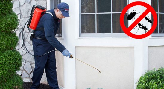Aşkale Haşere İlaçlama böcek ilaçlama ve haşere kontrolü — ilaclama-tr.com